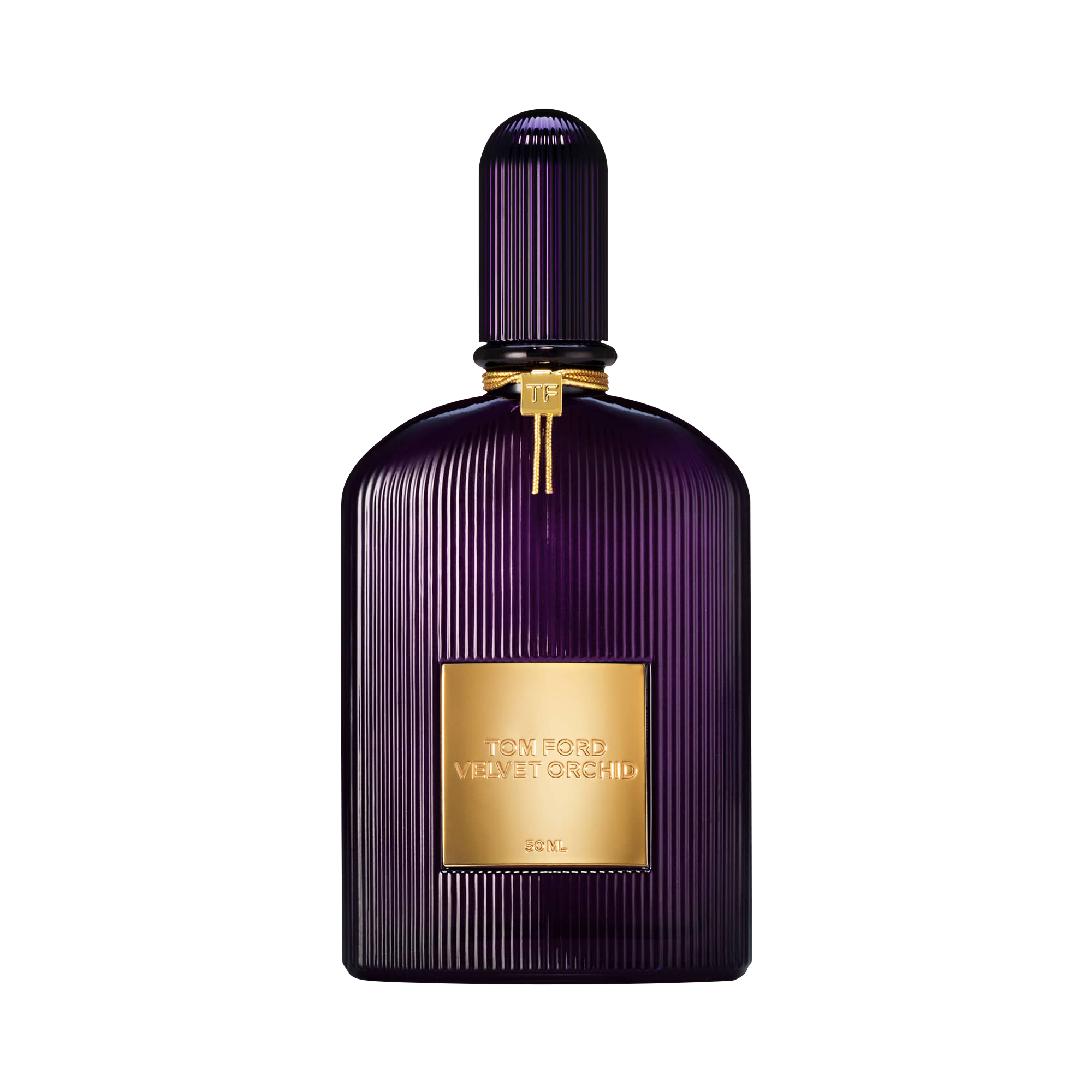 Velvet Orchid